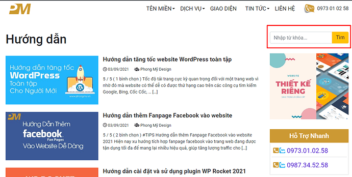 tuy-chinh-giao-dien-form-tim-kiem-wordpress