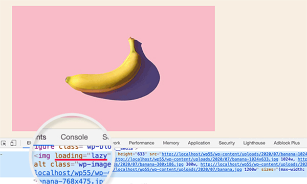 phiên bản WordPress 5.5