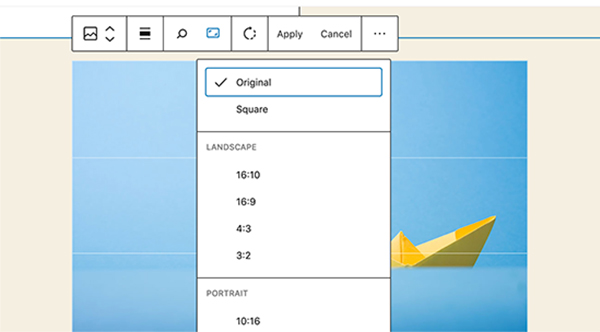 phiên bản WordPress 5.5